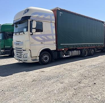 шпаклёвка на авто: Тягач, DAF, 2019 г., Шторный — 2
