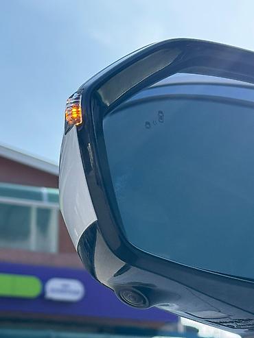 Hyundai: Hyundai Palisade: 2019 г., 2.2 л, Дизель — 26