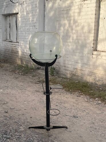 корманные собаки: Круглый аквариум из прозрачного стекла, установленный на прочном