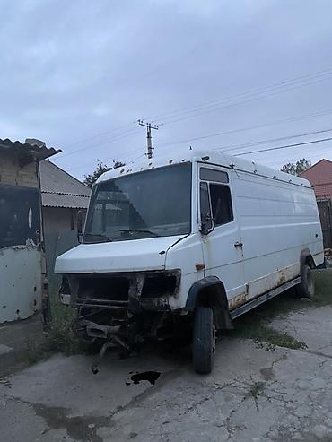ali osman: Mercedes-Benz Спринтер: 2026 г., Фургон — 1