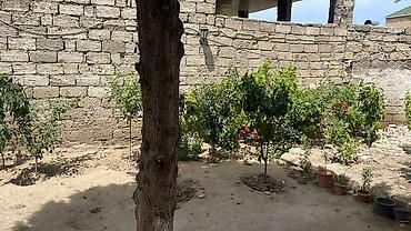 Divan və kreslo dəstləri: Divan, Jurnal masası -da lalafo.az — 19 Divan və kreslo dəstləri: Divan, Jurnal masası — 19