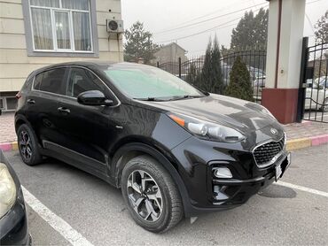 Kia: Kia Sportage: 2021 г., 2.4 л, Автомат, Бензин, Кроссовер — 3