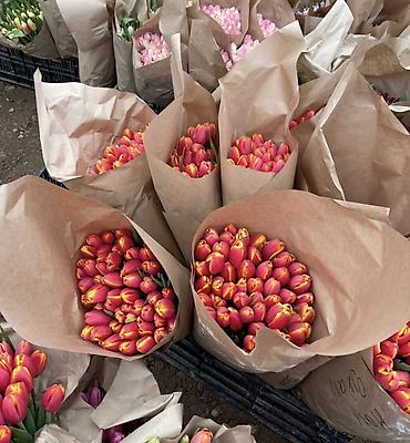 Букеты из живых цветов: Тюльпаны Оптом и в розницу - Разнообразие оттенков: жёлтые, розовые — 11