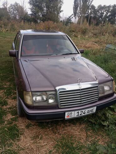 мерс газ: Mercedes-Benz W124: 1991 г., 2.3 л, Механика, Бензин, Седан