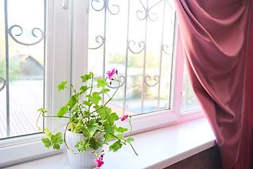 Мейманканаларды жана хостелдерди мжаралоо: Хостел в центре Бишкека! Рядом Центральной Мечетью Сарахси. Чистый — 17