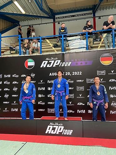 Toyota: Toyota RAV4: 2017 г., 2.5 л, Автомат, Бензин, Кроссовер — 10