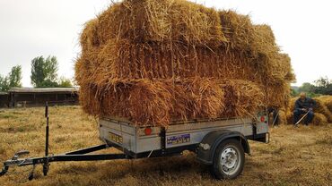 Qoşqular: Minik maşını üçün qoşqular — 15