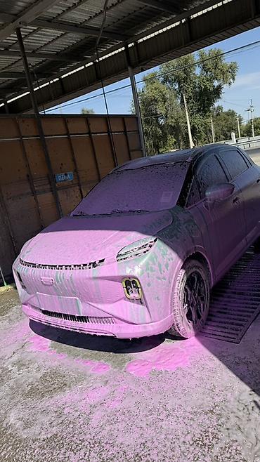 kirgiz auto: Электромобиль компактного класса (кроссовер) - Тип: полностью — 3