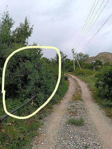 реальному: 6 соток, Для бизнеса, Красная книга — 4