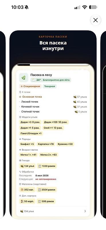 Разработка сайтов, приложений: Добрый день! предлагаем Разработкау мобильных приложений, просьба — 9