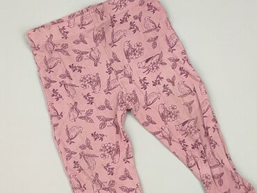 legginsy hello kitty: Legginsy, Fox&Bunny, 6-9 miesięcy, stan - Bardzo dobry w lalafo.pl legginsy hello kitty: Legginsy, Fox&Bunny, 6-9 miesięcy, stan - Bardzo dobry