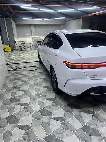 BYD: BYD Destroyer 05: 0.5 l | 2025 il 24948 km Sedan — 7