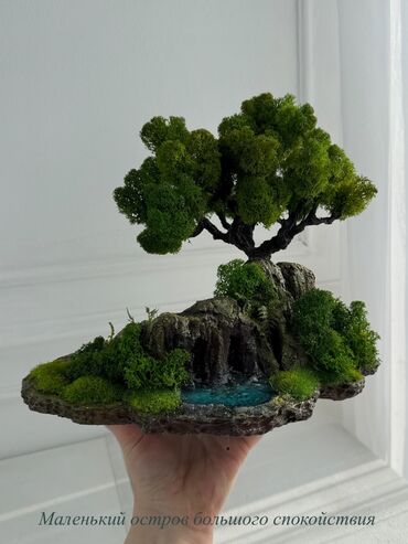 Декоративные цветы: Деревья-бонсай из натурального стабилизированного мха🌳 -это — 44