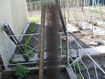 Продаю: Сетка высота 150 см, ячейка 3,5 см, длина 5 метров-900 сом at lalafo.kg Продаю: Сетка высота 150 см, ячейка 3,5 см, длина 5 метров-900 сом