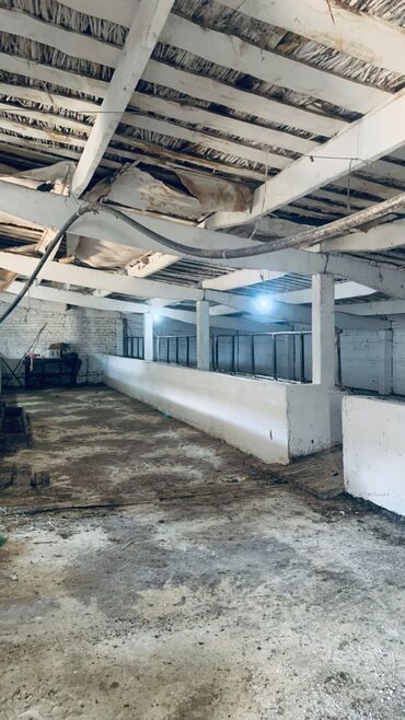 Сельхоз предприятия: Продаю Кошара, 41 соток, Действующий, Холодная вода, Электричество — 5