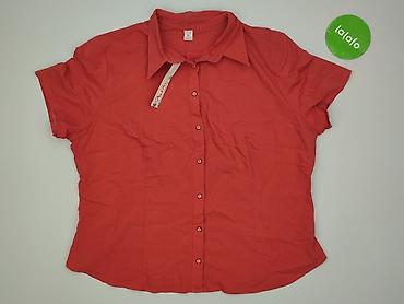 pull and bear polonia: Bluzka damska, rozmiar 5XL — 2