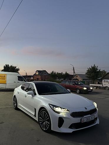 киа стрингер: Kia Stinger: 2018 г., 2 л, Автомат, Бензин, Лифтбек — 2