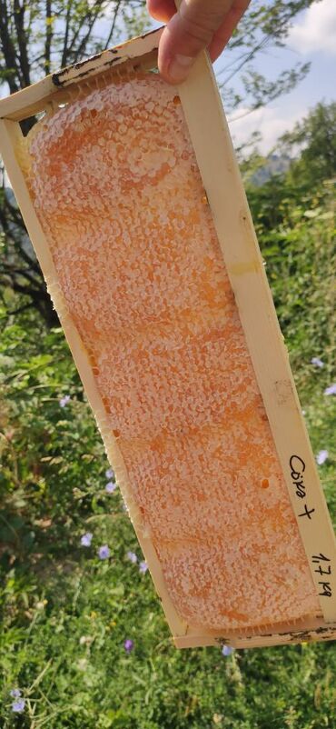 Bal: ELF BEE'S 1977 ECO-PRODUCT FOR HEALTH AND LONGEVITY Tovuzun -da lalafo.az — 6 Bal: ELF BEE'S 1977 ECO-PRODUCT FOR HEALTH AND LONGEVITY Tovuzun — 6