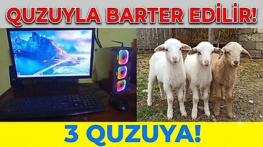 kompüter ucuz: Kompyuter (Sistem bloku) — 3 xırda quzuyla BARTER olunur! Əla — 1