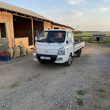 b4 б4: Hyundai Porter: 2020 г., 2.5 л, Механика, Дизель, Лимузин — 2
