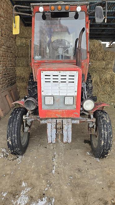 Тракторы МТЗ (Беларус): Модель: 82, Новый, 1998 г. — 1