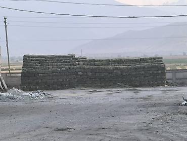 Корма для с/х животных: Сено люцерны в тюках - 3-й укос: мягкое и питательное - Сухое и — 4