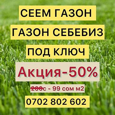 косим траву: Сделаем идеальный газон за 7–10 дней 🌱 ✔ Посев газона от 99 сом/м² — 1