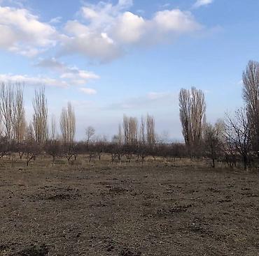 Продажа сельхоз предприятий: Продаётся сельскохозяйственный участок с хозпостройками. - — 10