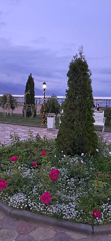 Иссык-Куль 2026: Номер, ЦО Радуга West, Тамчы, Детская площадка, Парковка, стоянка, Охраняемая территория — 14