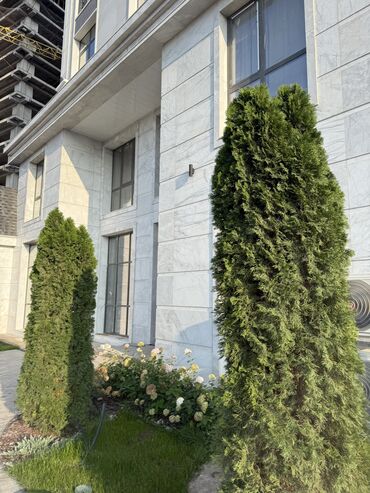 купить помещение под парикмахерскую: Продается коммерческое помещение в черновой отделке (ПСО) в жилом