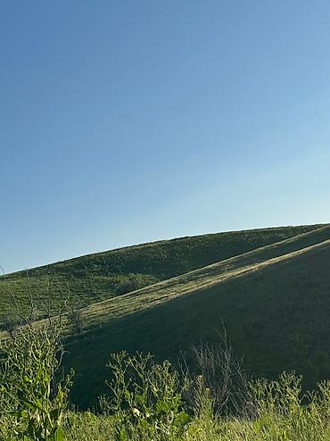 Продажа дач: Продается Дача (Дом) на Панораме . Участок -5 сот. Дом мансардного — 20