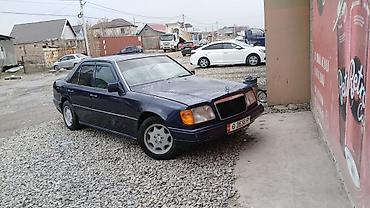 Mercedes-Benz: Mercedes-Benz W124: 1995 г., Седан — 5