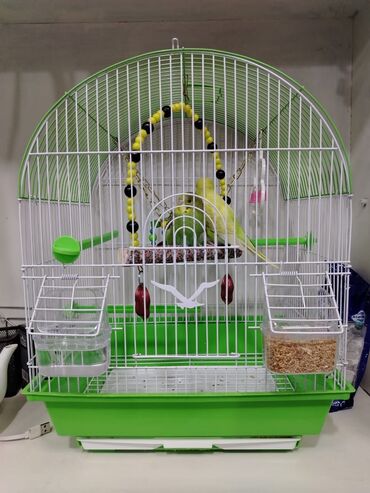 Akvarium aksessuar və ləvazimatları: 2 eded disi papan teze aksesuarli qefes birge