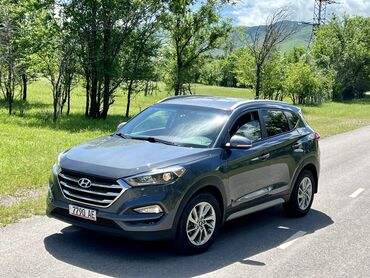 экономичные авто: Hyundai Tucson: 2017 г., 2 л, Автомат, Бензин, Кроссовер
