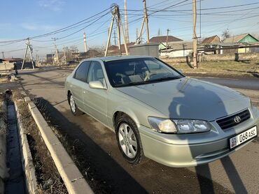 тайота камри 2000: Toyota Camry: 2000 г., 3 л, Автомат, Бензин, Седан