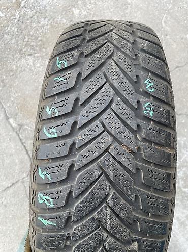 385 55: Шины 185 / 65 / R 15, Всесезонная, Б/у, 1 шт, Легковые, Германия, Dunlop — 1