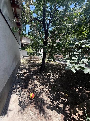Продажа коттеджей и домов: 6 комнат, 145 м², 5 соток, Ош, Агентство недвижимости — 21