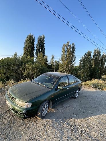 Продажа авто: Nissan Primera: 1999 г., 2 л, Механика, Бензин, Седан — 3