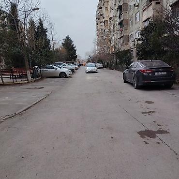 Mənzil kirayələyirəm: 3 otaqlı, 82 kv. m — 12