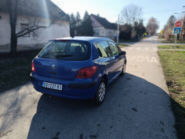 Peugeot: Peugeot 307: 1.4 l | 2003 г. 200000 km Hečbek — 6