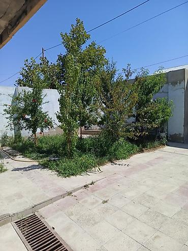 Продажа домов: Ev hovsan masin bazarinin yaninda yerlesir 1 sotda tikilib 3 otaqli — 4