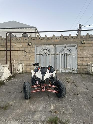 mini atv: Kayo - A 300, 320 sm3, 2022 il, 2000 km — 1