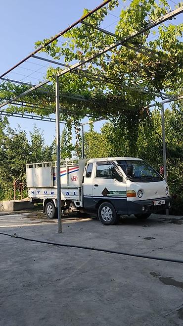 rexton pikap: Легкий грузовик, Hyundai, Б/у — 3