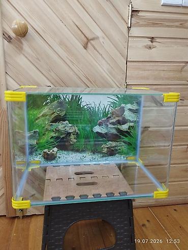 akvaryum altlığı: Dördbucaq akvarium, Boş, 35 l — 2