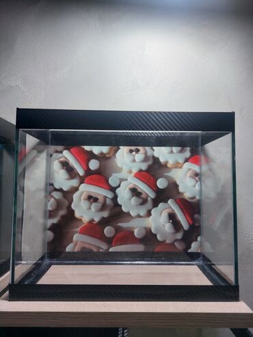 Akvariumlar: Şüşə akvarium – dekorativ fonlu modellər ölçü 30×25×15 Məhsul təsviri — 25