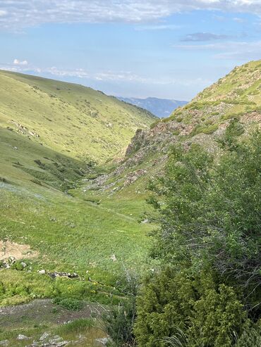 сварщик без опыта: Требуется Пастух