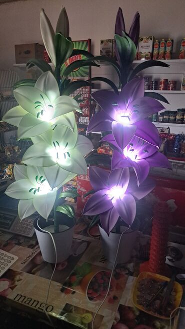 Лилии: Лилии — 11