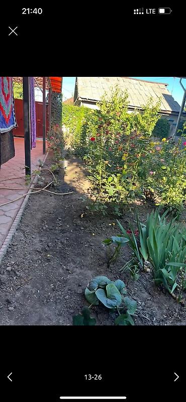 Дворники, садовники: 🌱Я садовник приходящий раз в неделю уборку сада генеральный уборка at lalafo.kg — 10 Дворники, садовники: 🌱Я садовник приходящий раз в неделю уборку сада генеральный уборка — 10