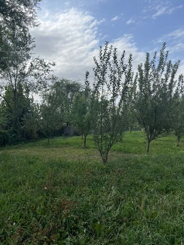 Продажа домов: Дом, 500 м², 6 комнат, Собственник, ПСО (под самоотделку) — 25