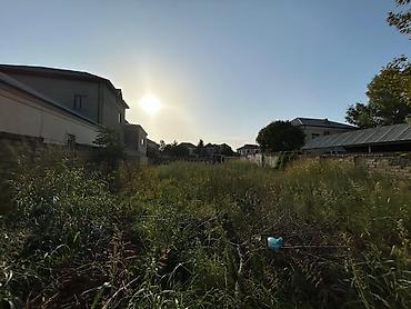 6 sot, Tikinti, Maklerlər narahat etməsin, Kupça (Çıxarış)